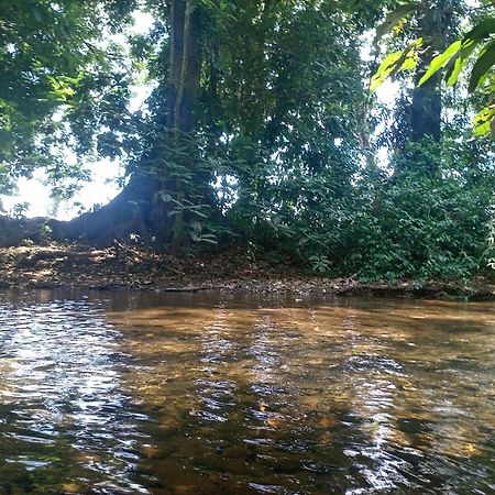 Glamping Naioth Lägenhet Guápiles Exteriör bild
