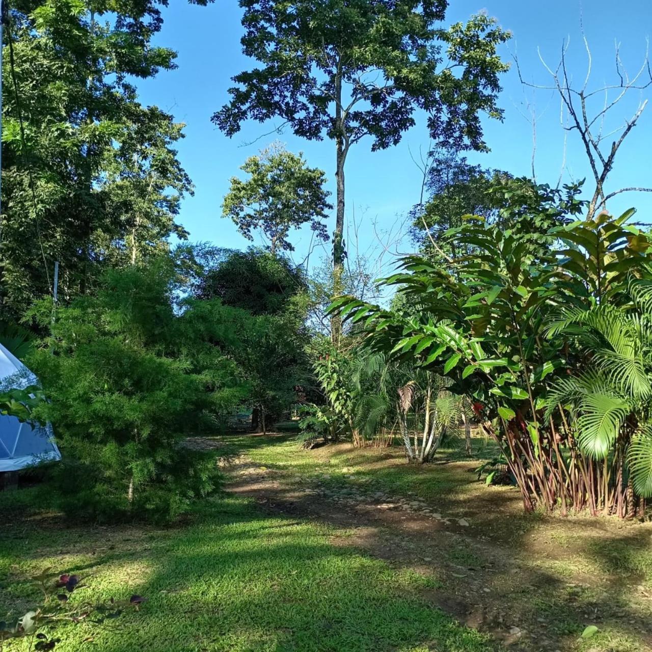 Glamping Naioth Lägenhet Guápiles Exteriör bild