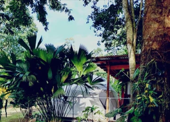Glamping Naioth Lägenhet Guápiles Exteriör bild