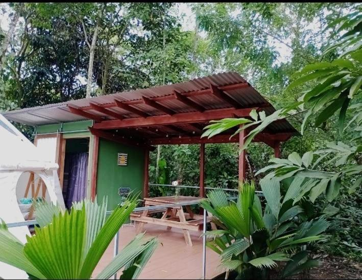 Glamping Naioth Lägenhet Guápiles Exteriör bild