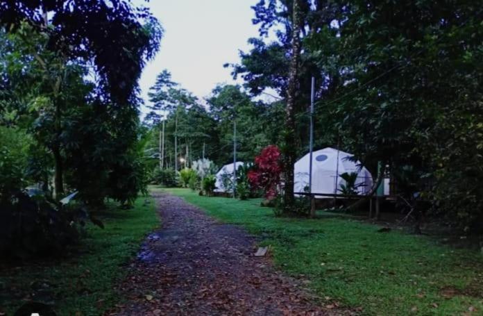 Glamping Naioth Lägenhet Guápiles Exteriör bild