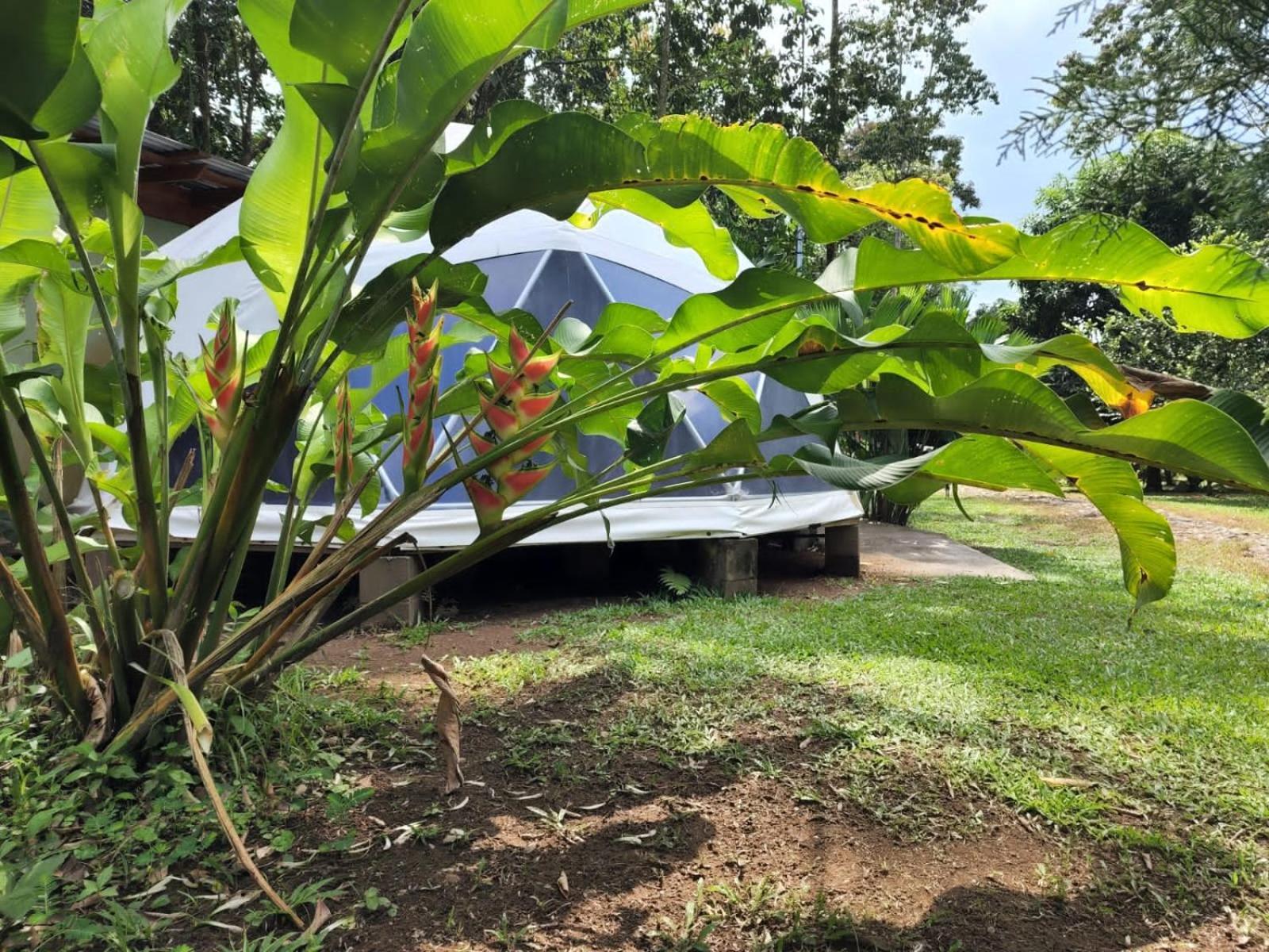 Glamping Naioth Lägenhet Guápiles Exteriör bild