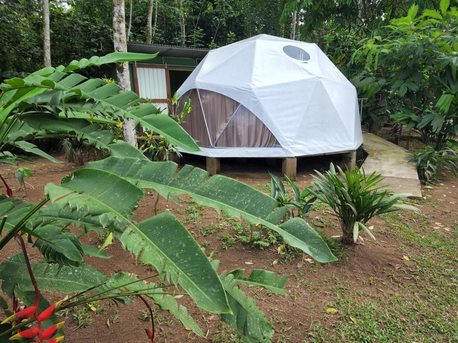 Glamping Naioth Lägenhet Guápiles Exteriör bild