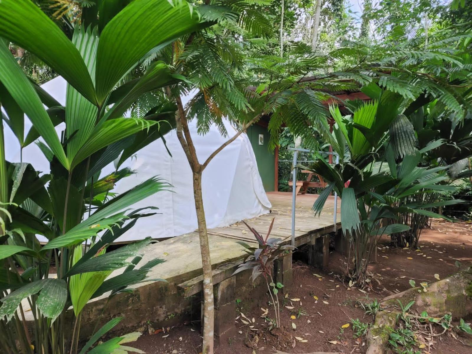 Glamping Naioth Lägenhet Guápiles Exteriör bild