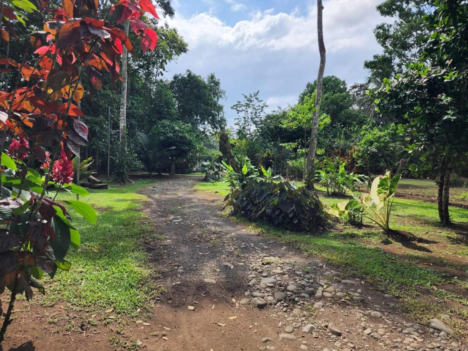 Glamping Naioth Lägenhet Guápiles Exteriör bild