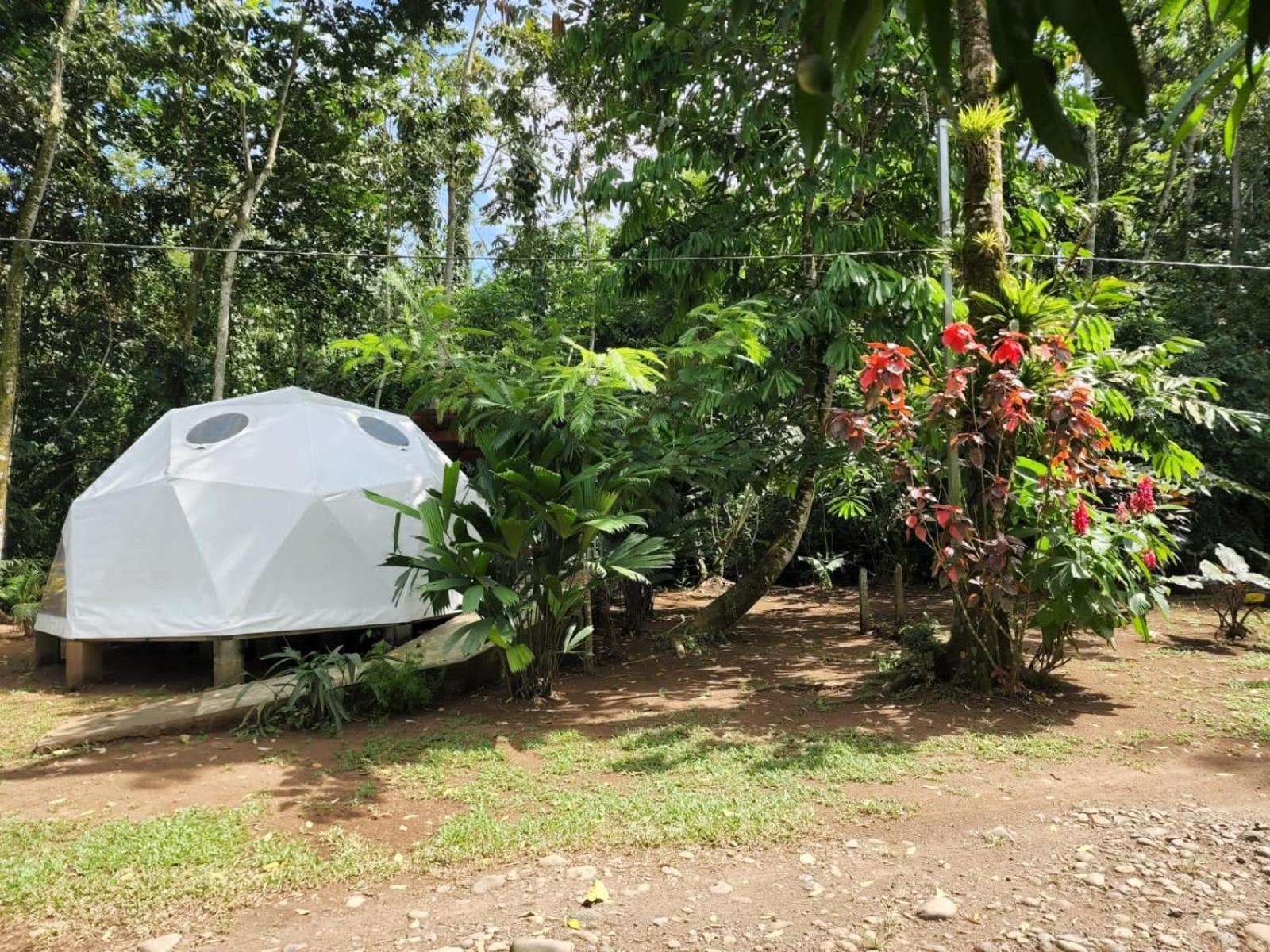 Glamping Naioth Lägenhet Guápiles Exteriör bild