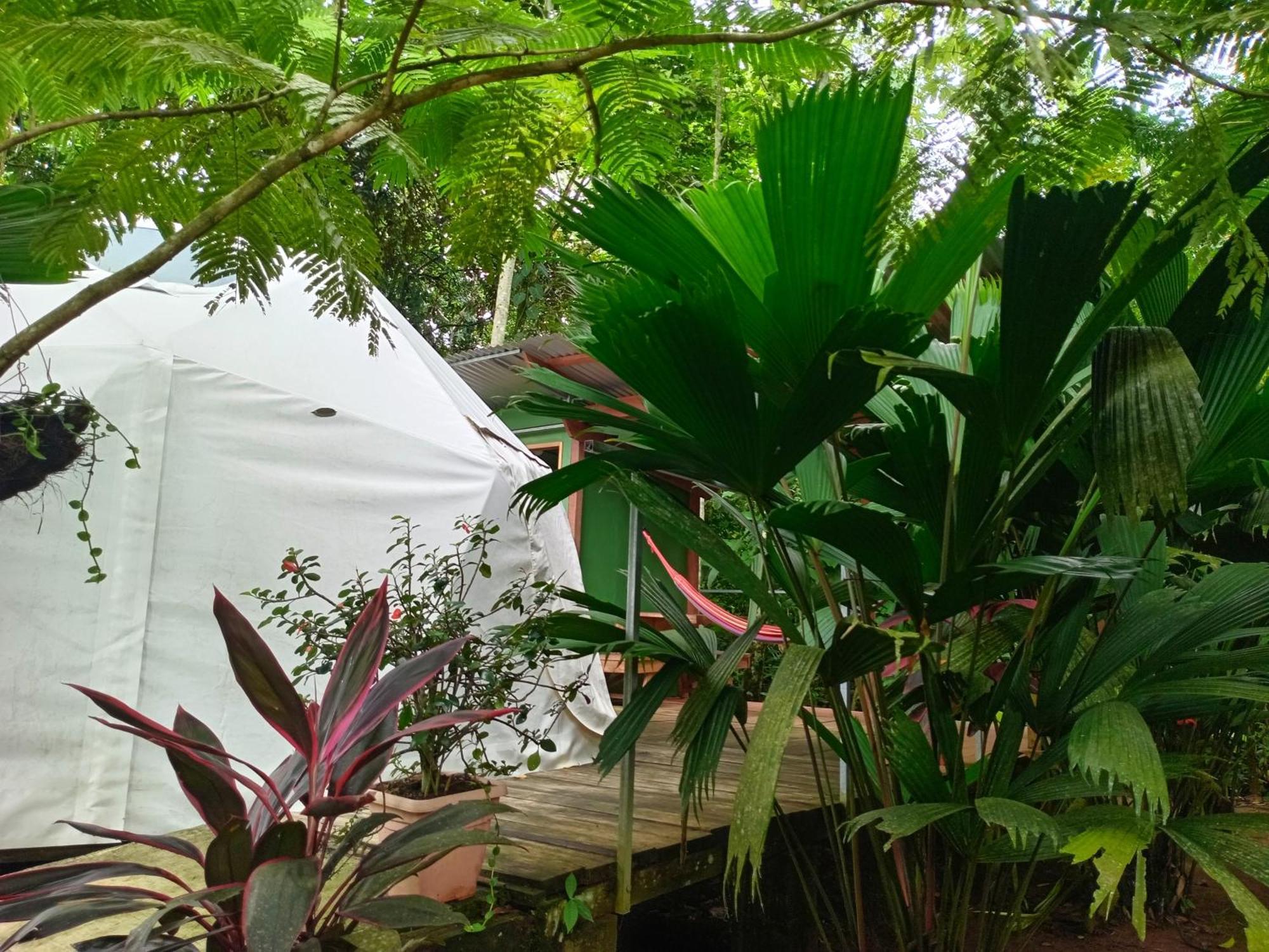 Glamping Naioth Lägenhet Guápiles Exteriör bild