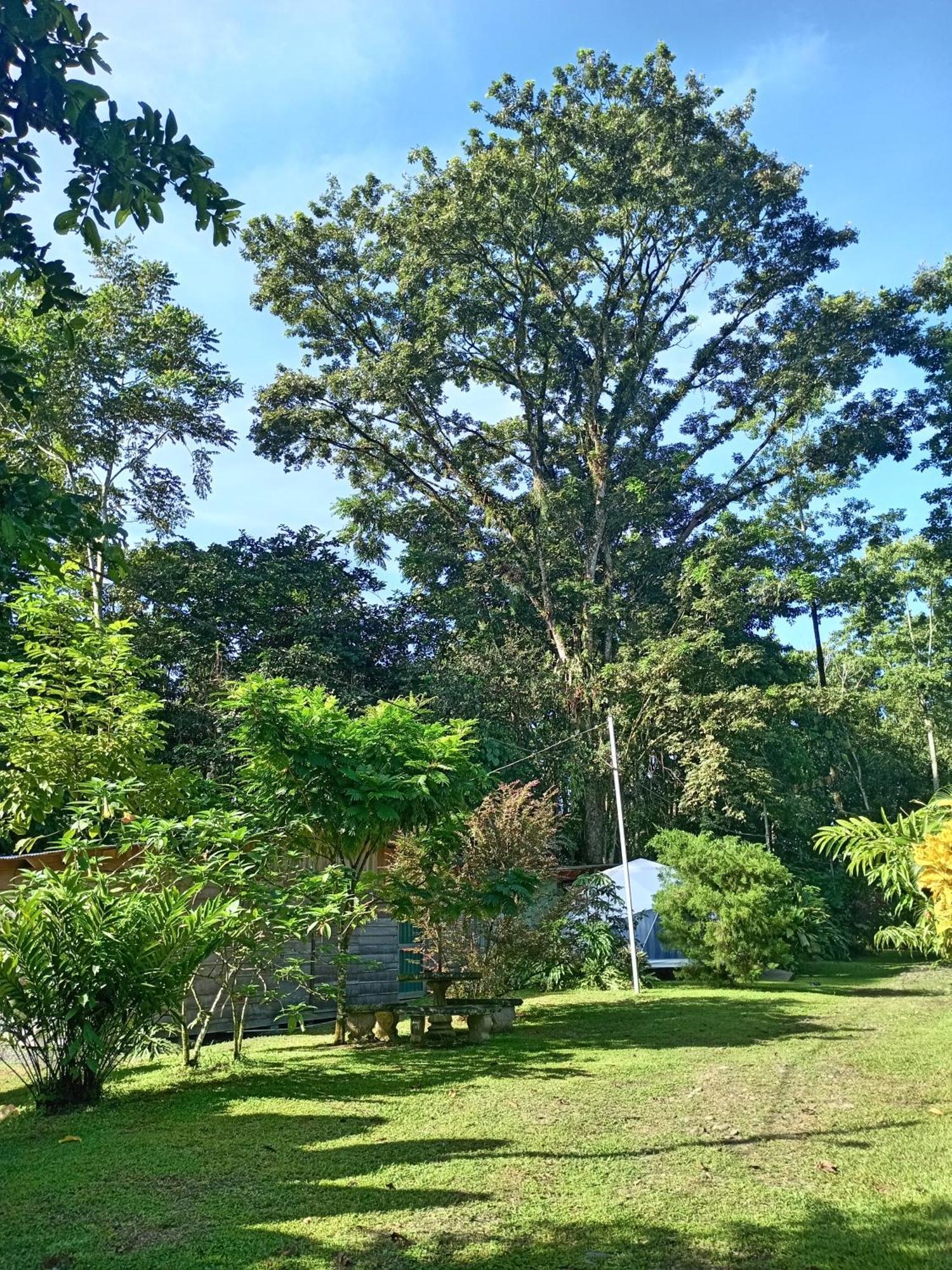 Glamping Naioth Lägenhet Guápiles Exteriör bild